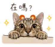 840824718