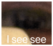 840826446