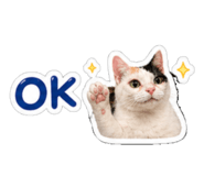 840826486