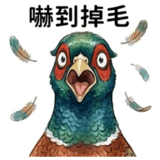 840826784