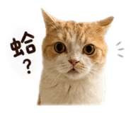 840826893