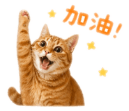 840827534