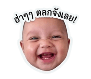 840828231