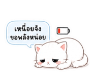840829686