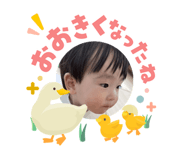 840830231