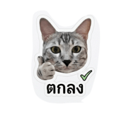 840830241