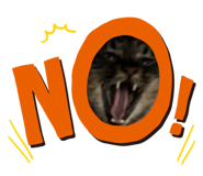 840831006