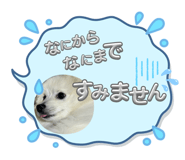 840831135