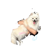 840831259