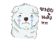840832170