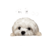 840832282