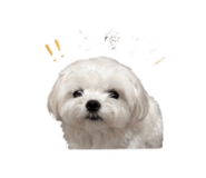 840832291