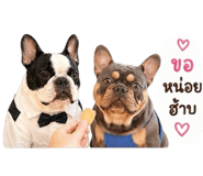 840832602