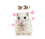 840832805