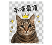 840832881