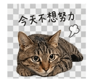 840832886