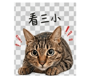 840832887