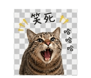 840832890