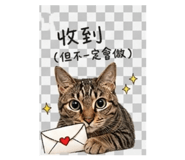 840832894