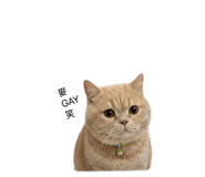 840833321