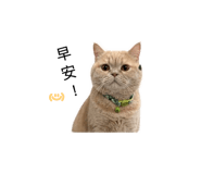 840833336