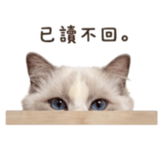 840833437