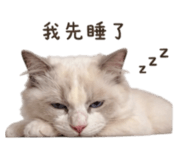 840833443