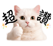 840833500