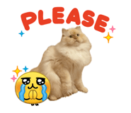 840833676