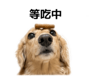 840833711