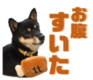 840834712