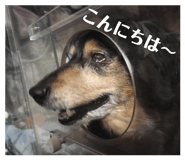 840834883