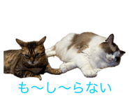 840834962