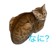 840834965