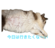 840834966