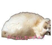 840834968