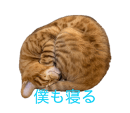 840834971