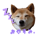 840835050