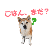 840835052
