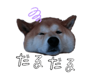 840835056