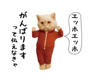 840835307