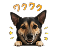 840835508
