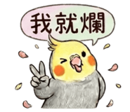 840836294