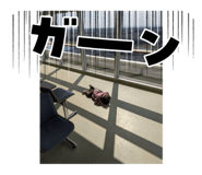 840836388