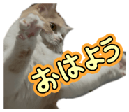 840836876