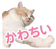 840836880