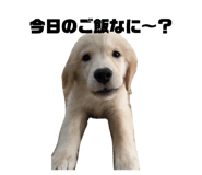 840836937