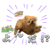 840837002