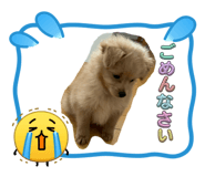 840837006
