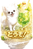840837078